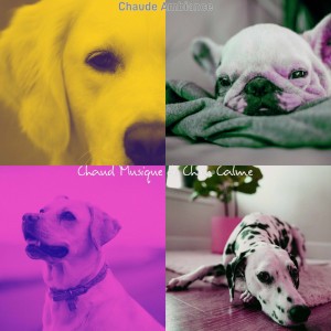 Chaud Musique de Chien Calme