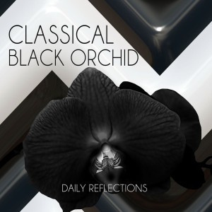 Black Orchid Collection