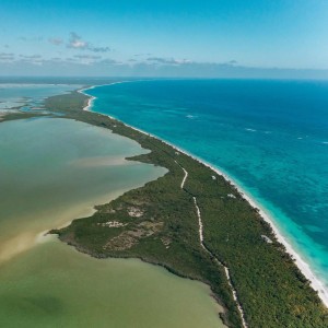 Bebekler için pürüzsüz kahverengi sesler