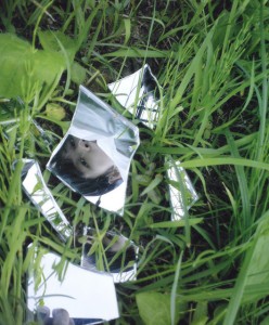 데이먼스 이어 Damons year