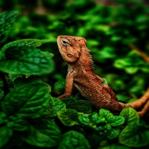 Binding To My School