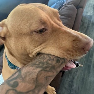 Mackned