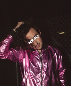 Mr. Pig