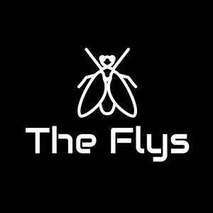 The Flys