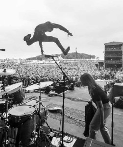 Marmozets