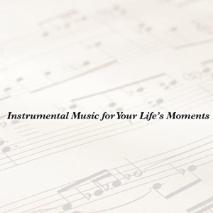 The O'Neill Brothers Group