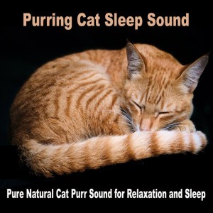 Cat Sound Effects