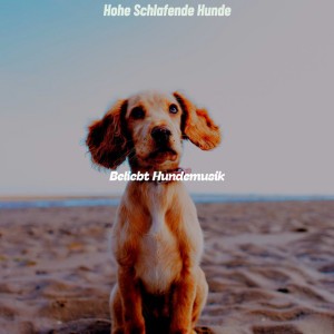 Beliebt Hundemusik