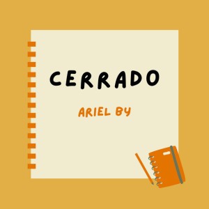 Ariel By