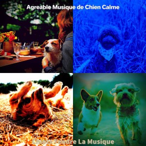 Agreable Musique de Chien Calme
