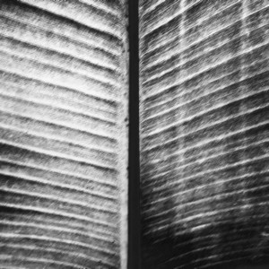 Anxious For The Legends