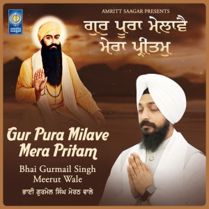 Bhai Gurmail Singh Meerut Wale