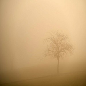 Border Of New Worlds