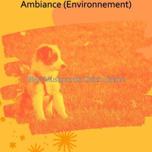 Bien Musique de Chien Calme