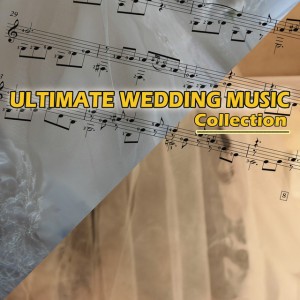 Andrew & Graham Coote