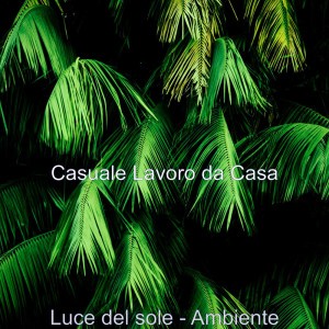 Casuale Lavoro da Casa