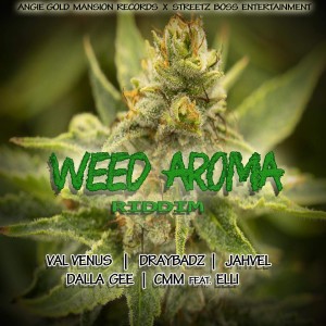 Angie Gold Mansion Records