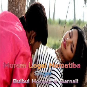 Bulbul Hossain