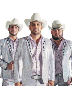 Novillos de la Sierra