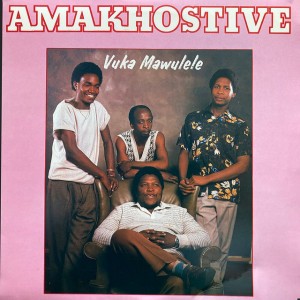 Amakhosetive