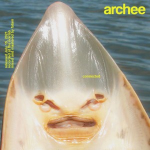 ARCHEE