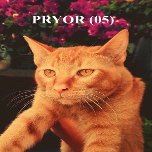 Andres Arturo Solorio Barrera