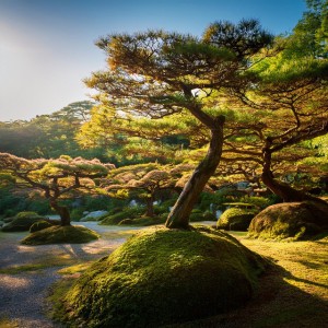 Biblioteca sonora de paz