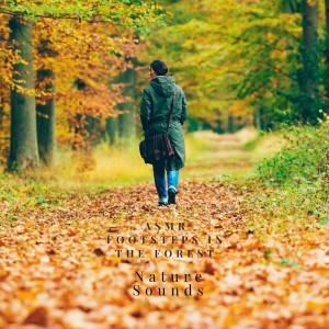 ASMR Footsteps in the Forest