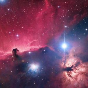 Alexander James Brownlee