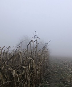 adolescence syndrome