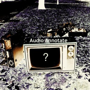 Audio Annotate