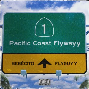 Bebécito FlyGuyy