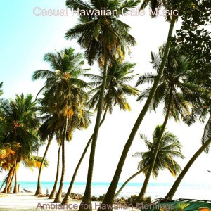 Casual Hawaiian Cafe Music