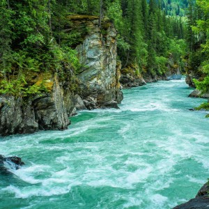 Beyaz Sıcak Uyku Sesi