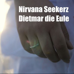 Nirvana Seekerz