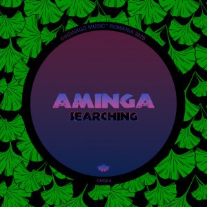 Aminga