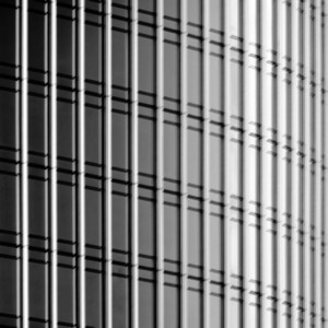 Abandoned In The Machines