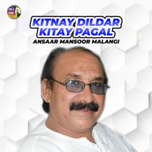 Ansaar Mansoor Malangi