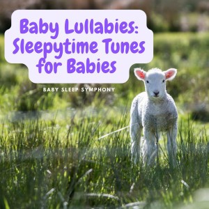 Baby Sleep Symphony