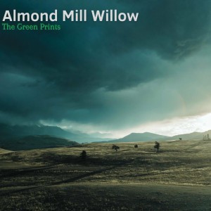 Almond Mill Willow
