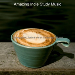 Amazing Indie Study Music