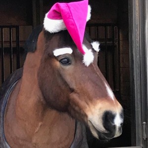 Armando Acosta y Grupo Rancho