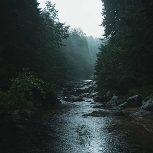 Android de ruido blanco