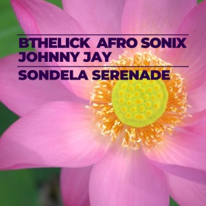 Afro Sonix