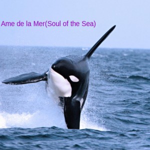 Bobby Sharpe's Gypsy Souls