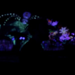 Augustin & The Whitestar Command