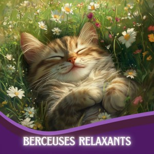 Berceuses Pour Dormir