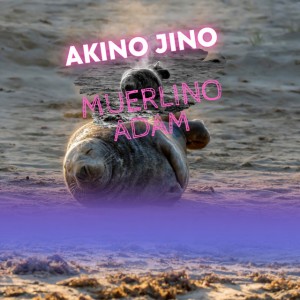 Akino Jino