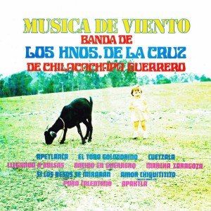 Banda de los Hnos. de la Cruz de Chilacachapa Guerrero