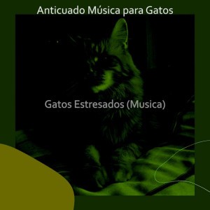 Anticuado Música para Gatos